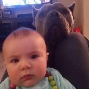 Meet your Posher, David